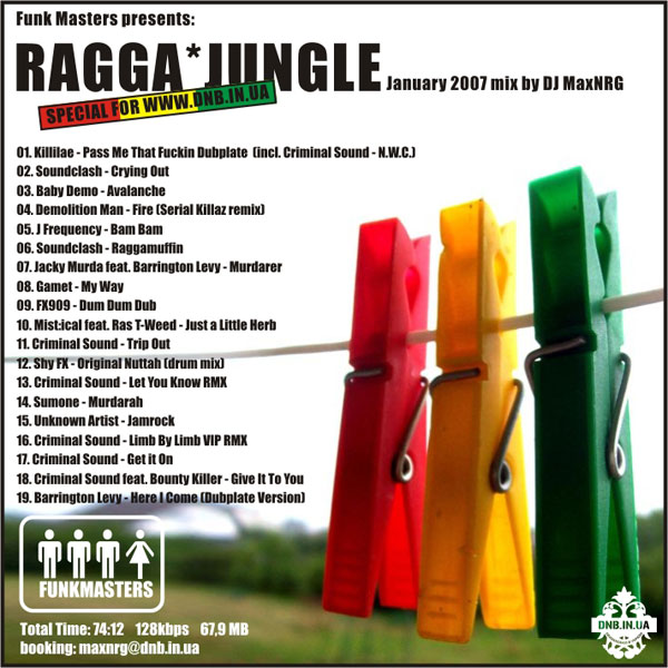 RAGGA JUNGLE ラガジャングル 12 set - レコード