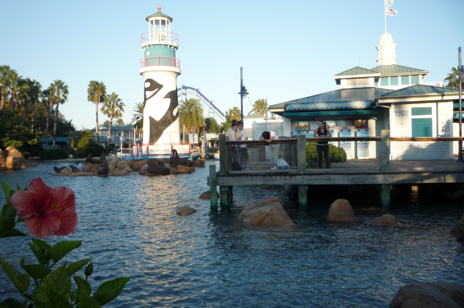 Yes, we caravan ORLANDO SEAWORLD