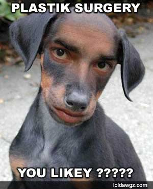 image: human-faced-dog