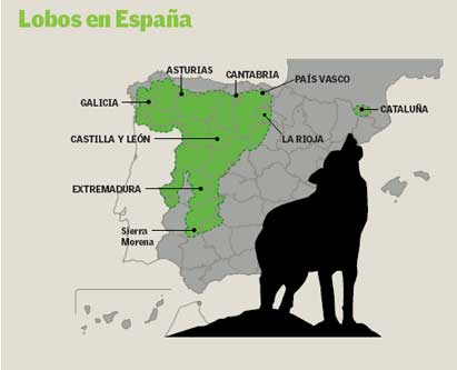 España, la reconquista del territorio: LOBOS