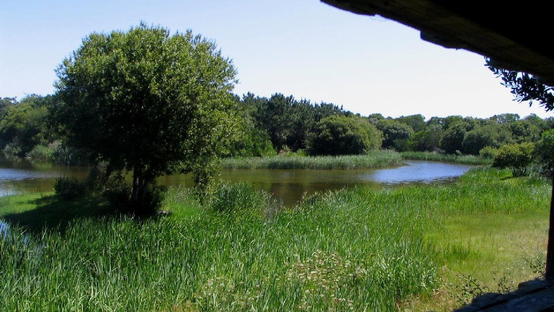 milhas náuticas A Reserva Natural das