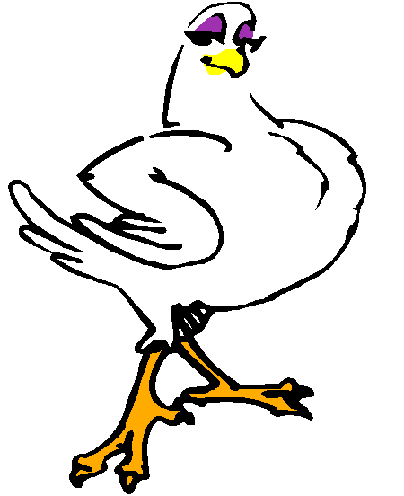 clipart for chicken - photo #40