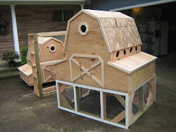 coops chicken poultry homes dc