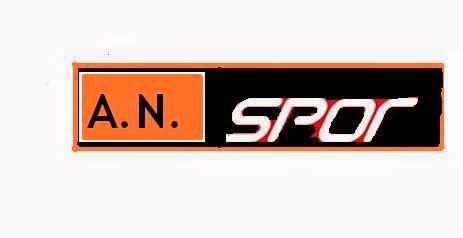 [AN-logo-01.JPG]