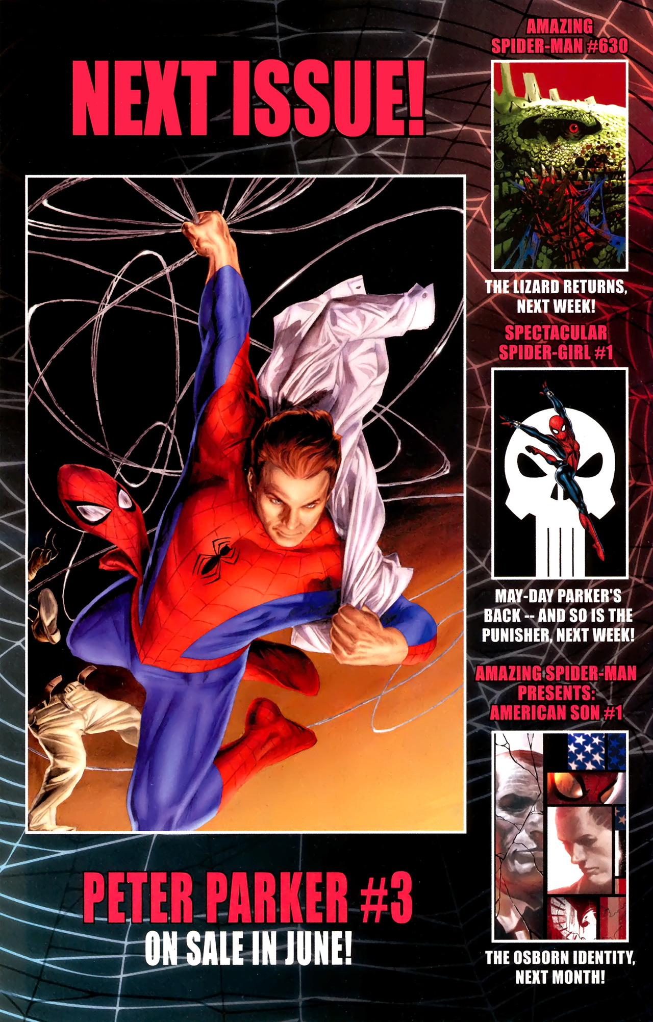 Peter Parker (2010) Issue #2 #2 - English 29