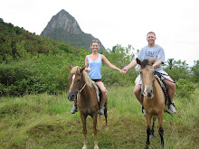 riding horses in St. Lucia