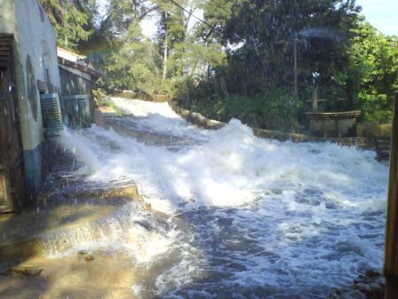 Mi primer Viaje a USA - Blogs de USA - 31 de Enero de 2010   UNIVERSAL STUDIOS HOLLYWOOD (15)