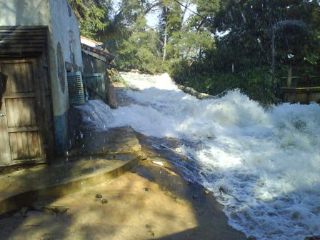 Mi primer Viaje a USA - Blogs de USA - 31 de Enero de 2010   UNIVERSAL STUDIOS HOLLYWOOD (14)