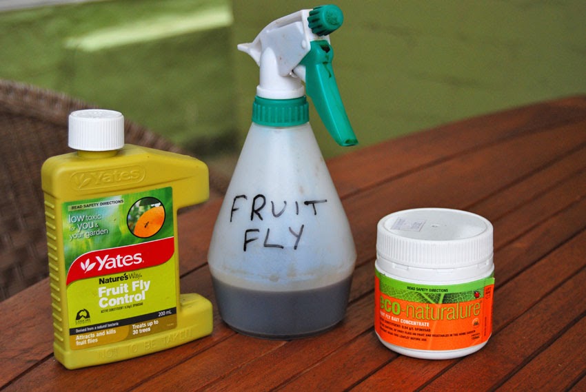Vegemite fly trap Outlet