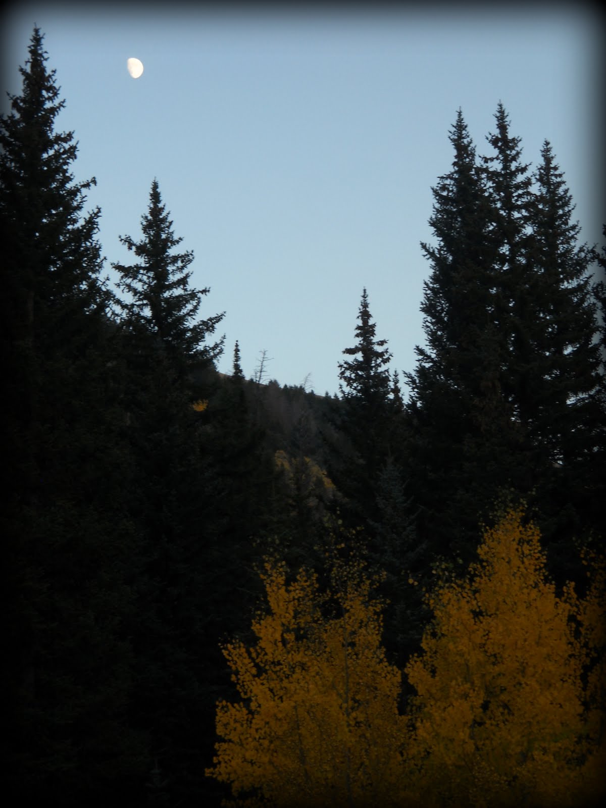 [Autumn+Moonrise.jpg]