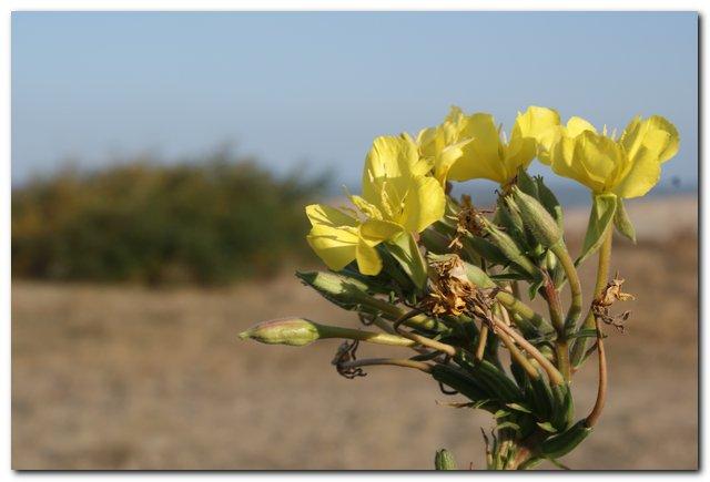 [Biotopo+Mts+25_10_2009_007.jpg]