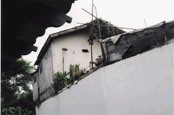 [walet3.gif]