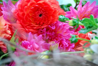 [dahlia+arrangement2.jpg]