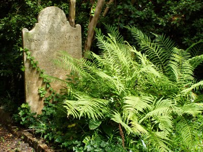 [headstone-ferns.jpg]