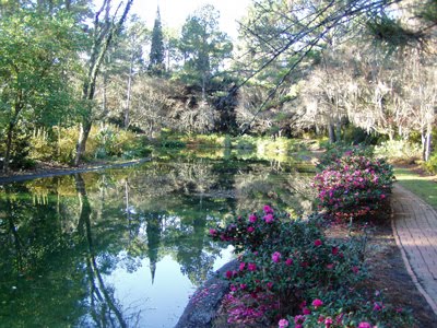 [pond-garden-sparkling-burgu.jpg]