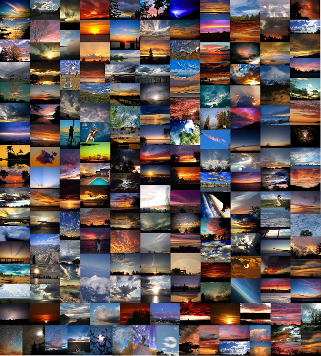 MY PHOTOGRAPHY STILLS..