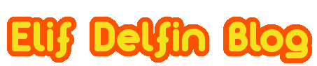 Elif & Delfin - Yemek Tarifleri & Günlük Yazılar