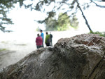 A Hike at Schooner Cove