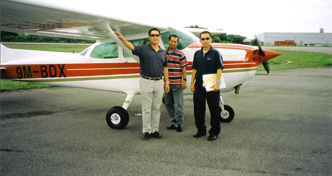 Flying With Friends