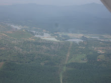 Tributary Of Sungai Selangor