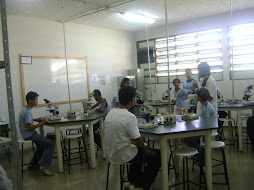 laboratório de citologia