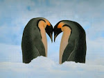 El amor en la Antártida