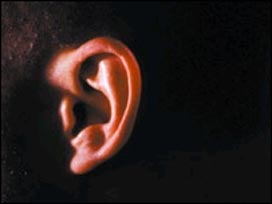 [kulak_cinlamasi.jpg]