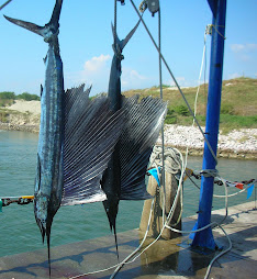 Trophy Fish in Mazatlan