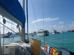 The Harbour in the Galapagos