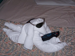 What Remote? I haven't Seen it!
