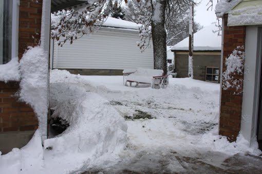 [Winter+Backyard+120909+LowRes.jpg]