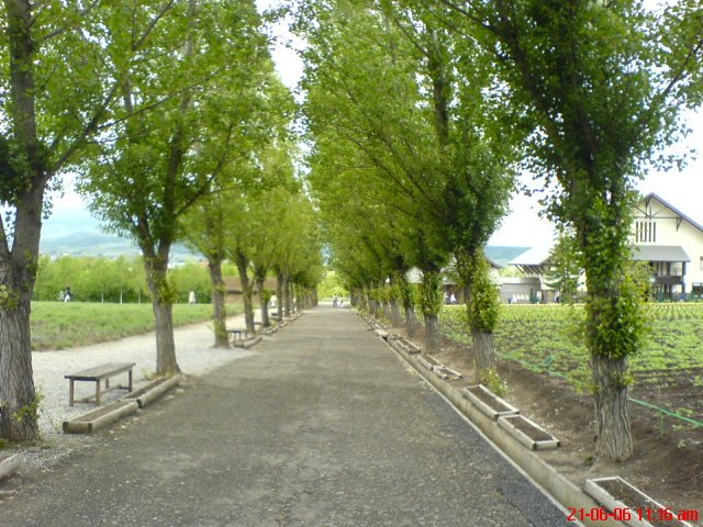[Furano4A.JPG]