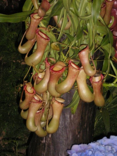 [IMGP1140_F09.JPG]