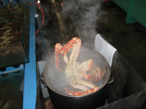 [IMG_3937a.JPG]