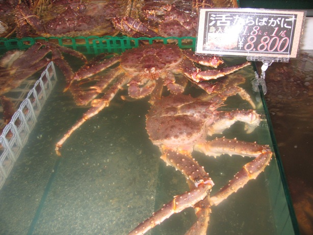 [IMG_3939a.JPG]