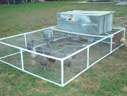 chicken pvc coop run chickens runs easy tractor building tractors portable gallineros coops gallinero signs types jaulas