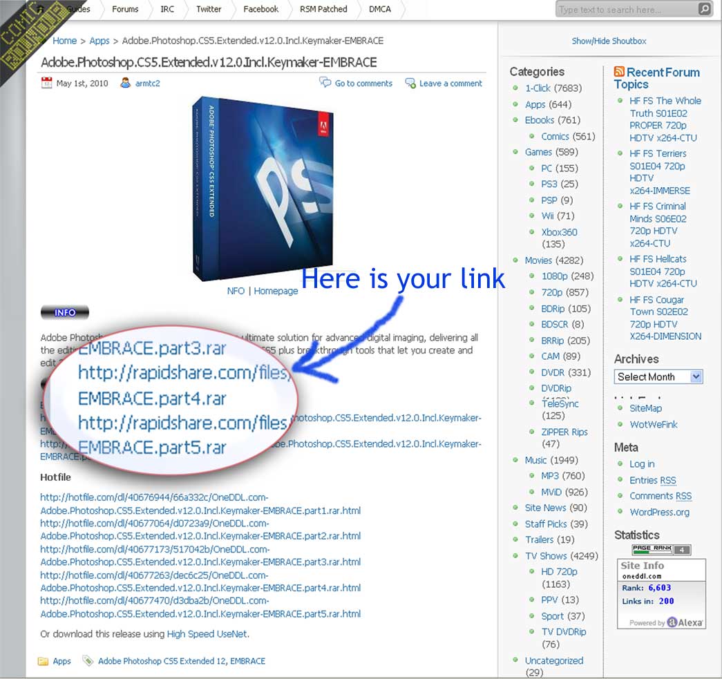 Download Help Rapidshare, Megaupload, Fileserve & Other