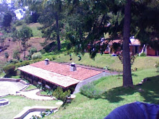 A little of the beauty