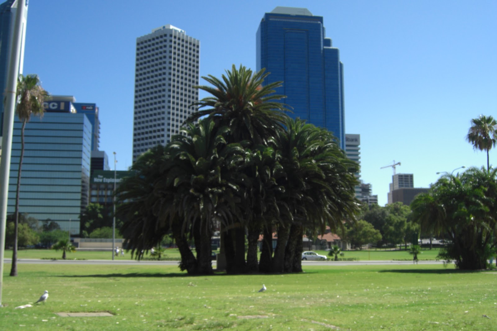 Down Under: Perth - Splendid Isolation