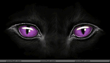 Con ojos tacitúrnicos