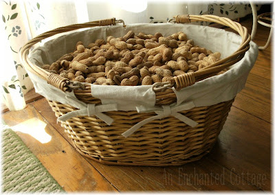 http://2.bp.blogspot.com/_HVvgtSV01Uw/SRopG1ISxhI/AAAAAAAADv8/ahz1AxDIe2I/s400/Peanut+basket.jpg