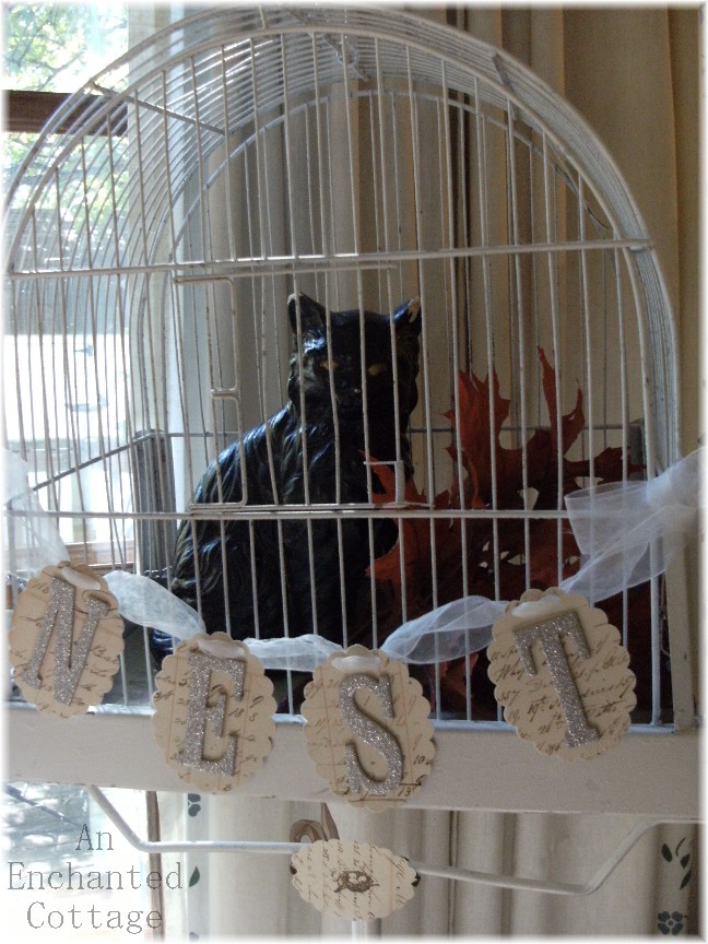 esinalca Cat In Cage