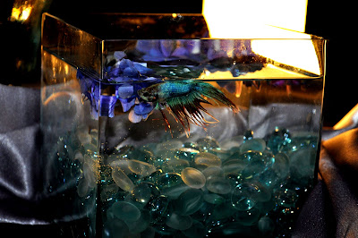 Kara s Party Ideas Purple   Jade Wedding Reception  - 91