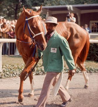 secretariat horse belmont paddock stakes eddie groom sweat movie who race christian prints jockey foundation club those need help penny