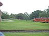 Train at Busch Gardens