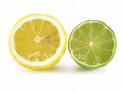 [lemon+and+lime.jpg]