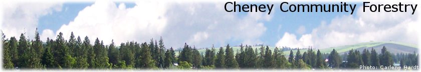 Cheney Community Forestry