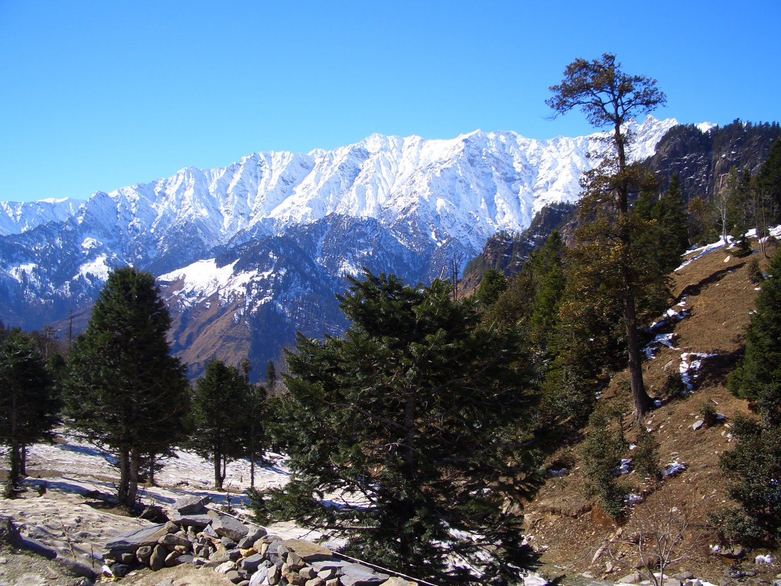 tomdoesindia Trip to Manali, foothills of the Himalayas. tomdoesindia Trip to Manali, foothills of the Himalayas.