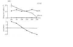 Neuronal firing reduced to zero as glucose eaten to satiety but not affect by other sugar