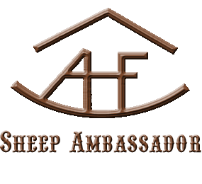 Sheep Ambassador
